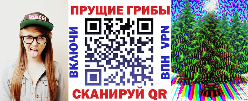 Псилоцибиновые грибы Psilocybine cubensis  Кировград 